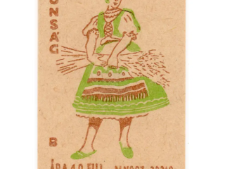 Kalocsa women's folk costume