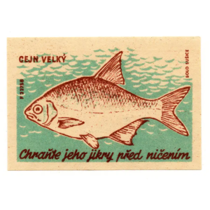 Czechoslovak Nature - Protect the fish