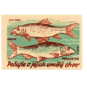 Czechoslovak Nature - Protect the fish