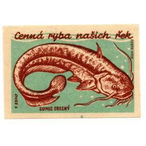 Czechoslovak Nature - Protect the fish