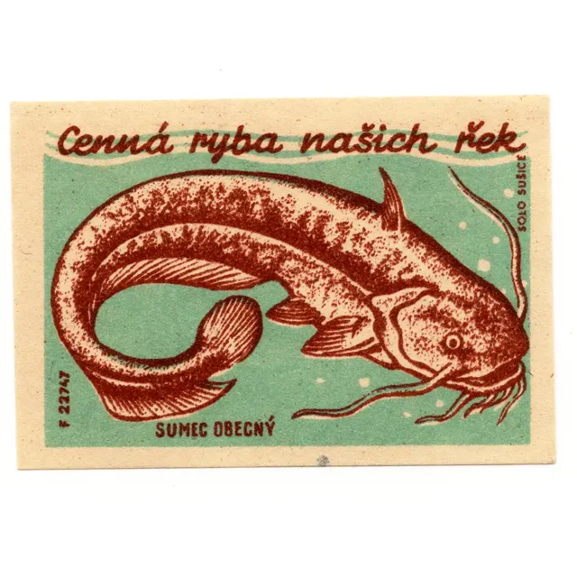 Czechoslovak Nature