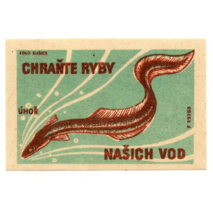 Czechoslovak Nature - Protect the fish