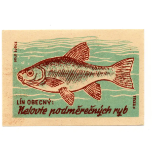 Czechoslovak Nature - Protect the fish