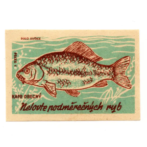 Czechoslovak Nature - Protect the fish