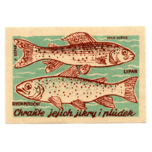 Czechoslovak Nature - Protect the fish