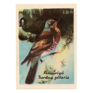 Fieldfare