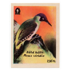 European green woodpecker