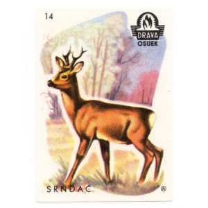 Yugoslavia Nature - Animals