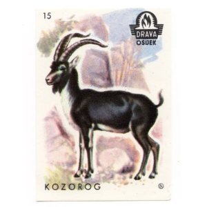 Yugoslavia Nature - Animals