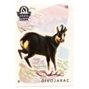 Yugoslavia Nature - Animals
