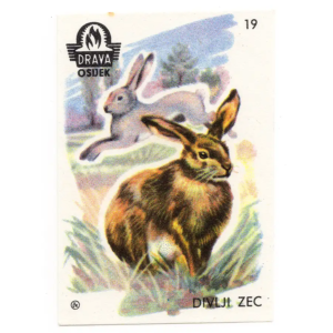 Yugoslavia Nature - Animals
