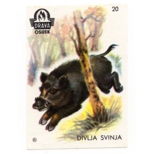 Yugoslavia Nature - Animals