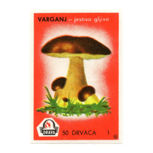 Yugoslavia Nature - Mushrooms