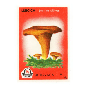 Yugoslavia Nature - Mushrooms