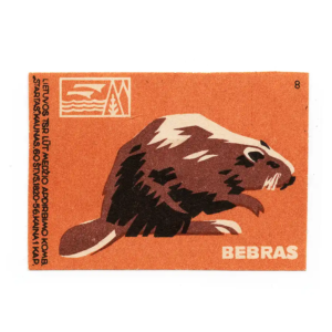 Lithuanian forest animals