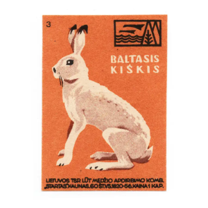 Lithuanian forest animals