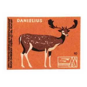 Lithuanian forest animals