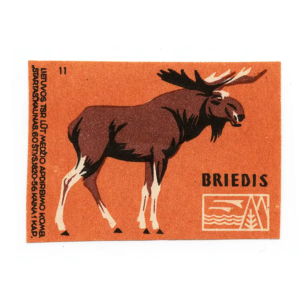 Lithuanian forest animals