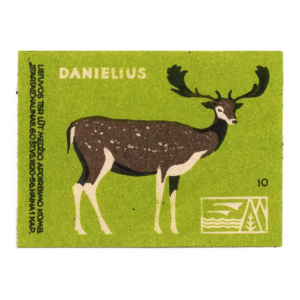 Lithuanian forest animals