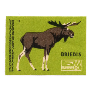 Lithuanian forest animals