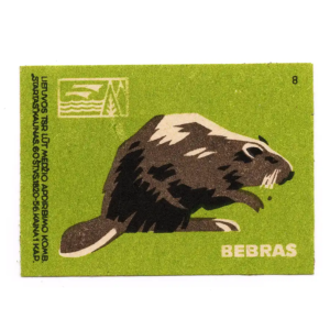 Lithuanian forest animals