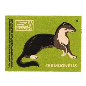Lithuanian forest animals