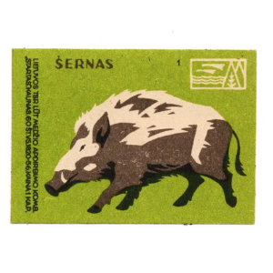Lithuanian forest animals