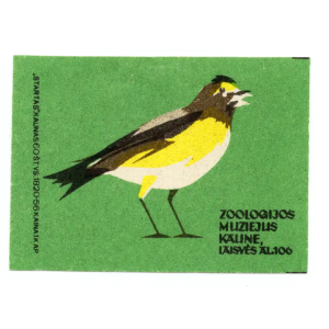Lithuania Matchbox Labels - Kaunas Tadas Ivanauskas Museum of Zoology