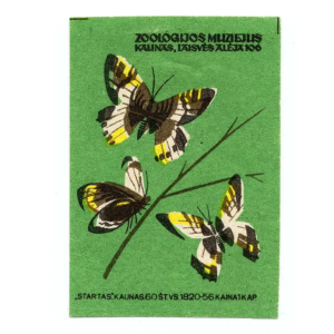 Lithuania Matchbox Labels - Kaunas Tadas Ivanauskas Museum of Zoology