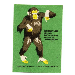 Lithuania Matchbox Labels - Kaunas Tadas Ivanauskas Museum of Zoology