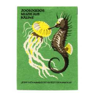 Lithuania Matchbox Labels - Kaunas Tadas Ivanauskas Museum of Zoology