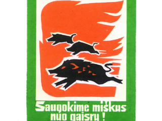 Lithuanian Fire Safety - Do not play with fire