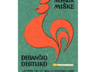 Lithuanian Fire Safety - Do not play with fire