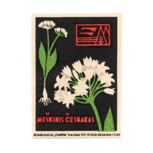 Lithuanian Plants