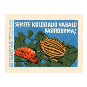 Lithuanian Farming - Be aware of Colorado potato beetle